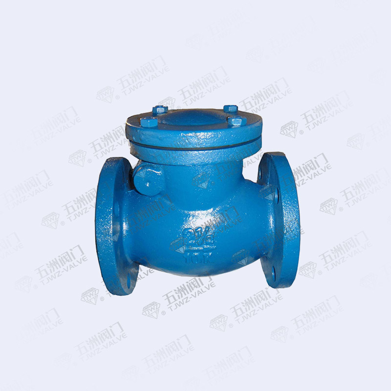 Japanese Standard Check Valve