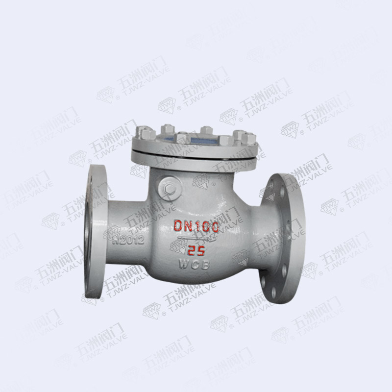 Check Valve-1