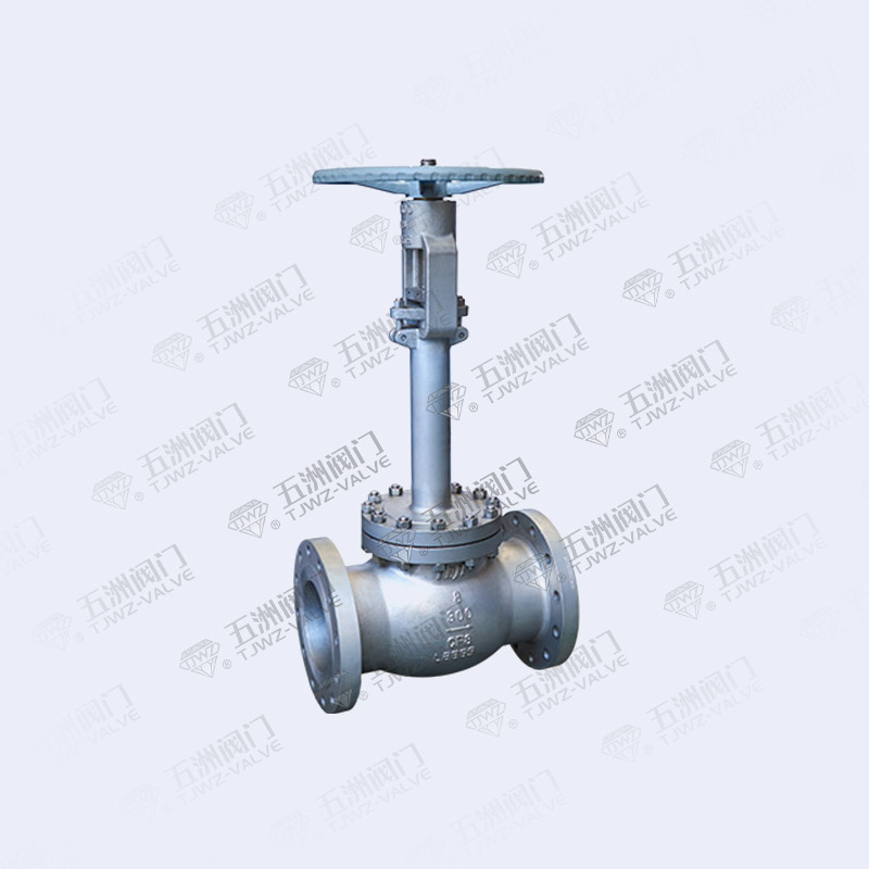 Cryogenic Globe Valve