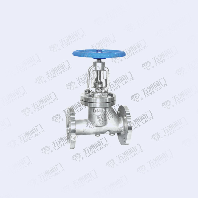 Angle Globe Valve