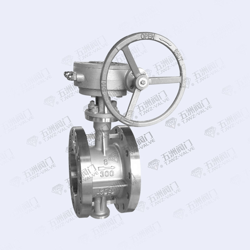 Worm Gear Stainless Steel Butterfly Valve-2