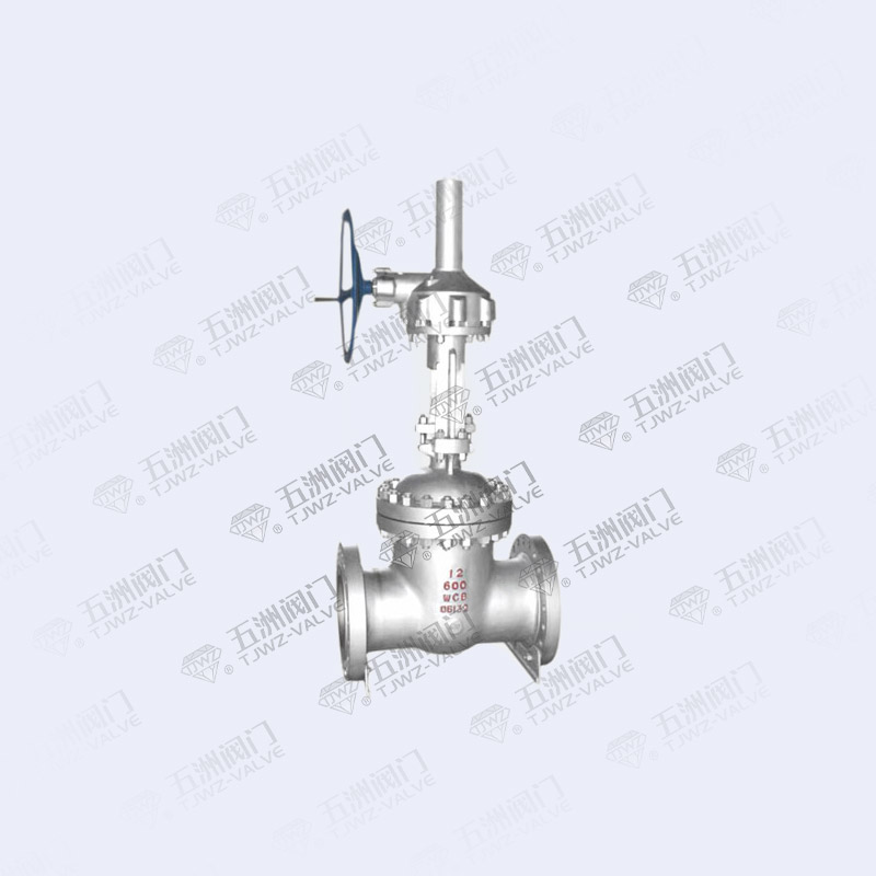 American Standard Flanged Gate Valve-2