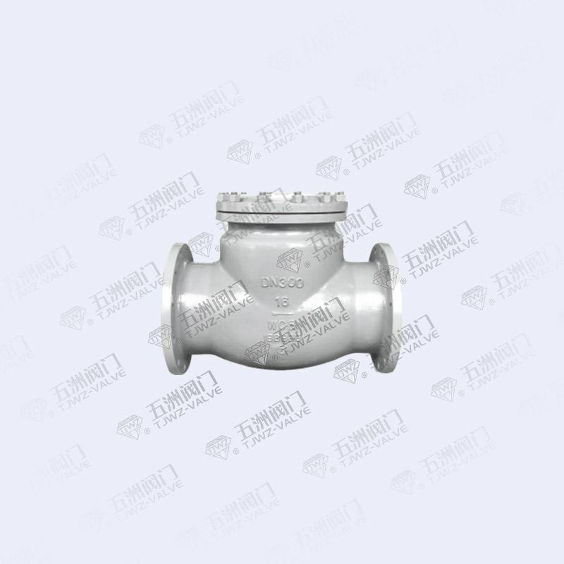 Large Diameter Check Valve