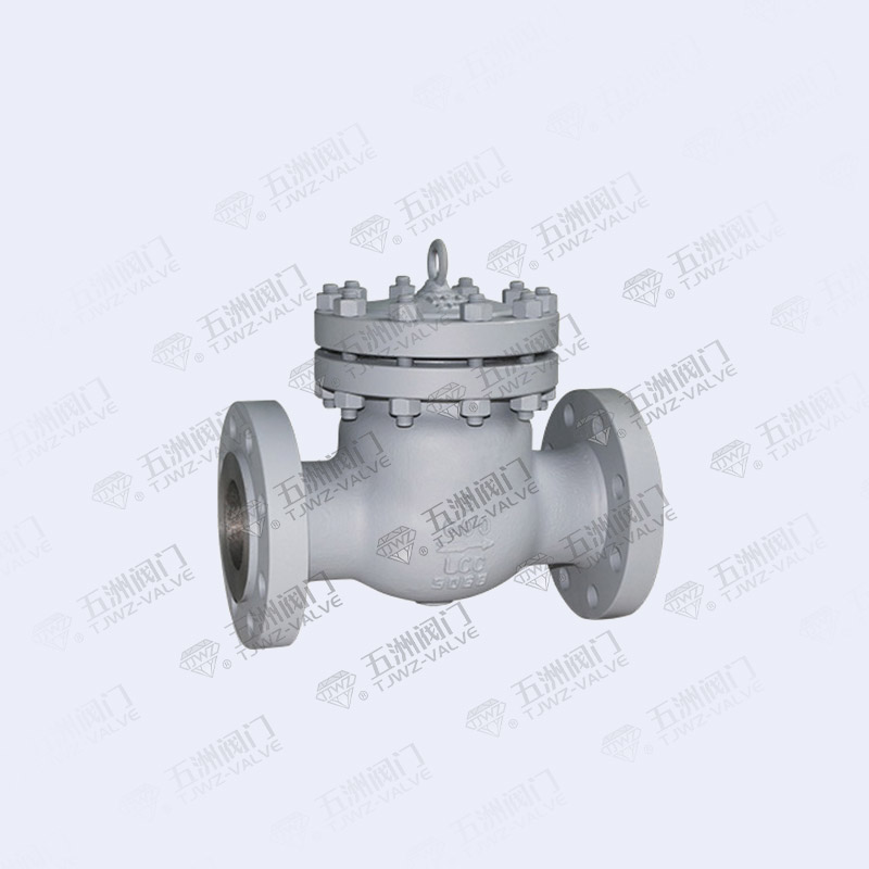 American Standard Flange Check Valve