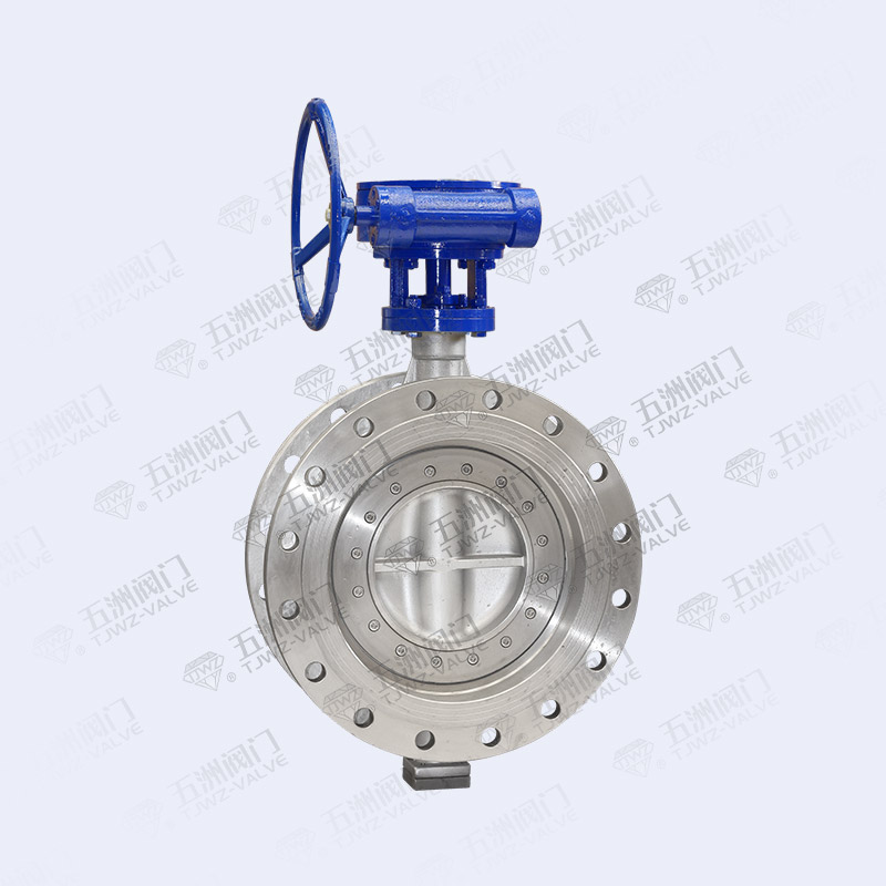 Worm Gear Stainless Steel Butterfly Valve-1