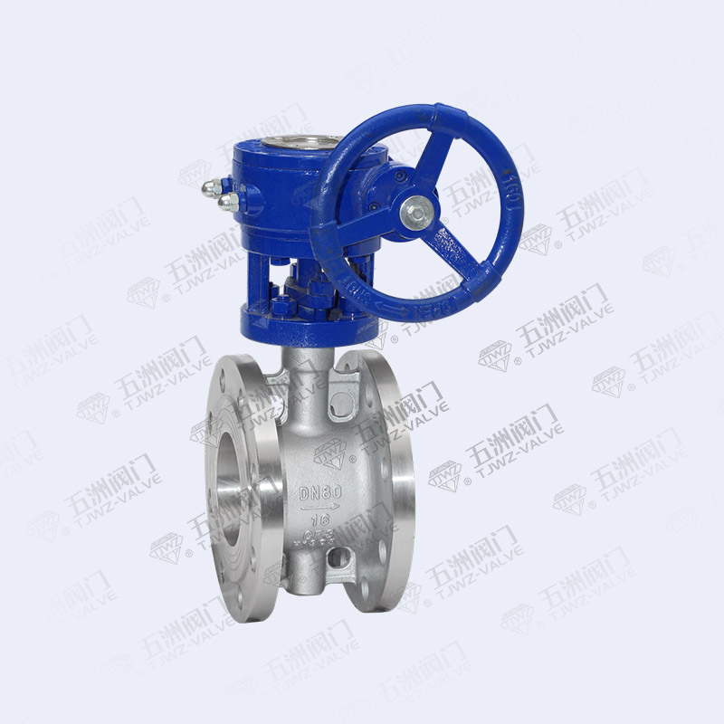 Worm Gear Stainless Steel Butterfly Valve-3