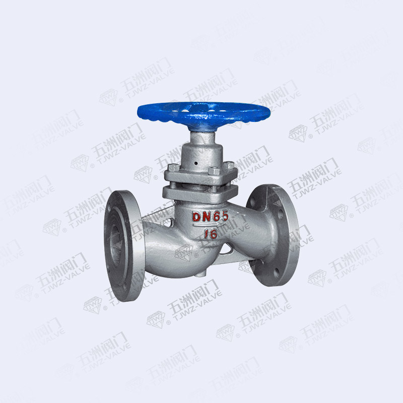 Plunger Globe Valve